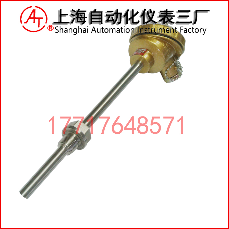 WRE2-220雙支熱電偶