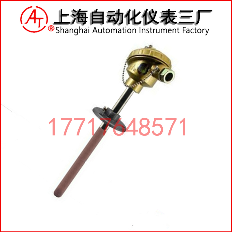 WRR2-330雙支鉑銠熱電偶